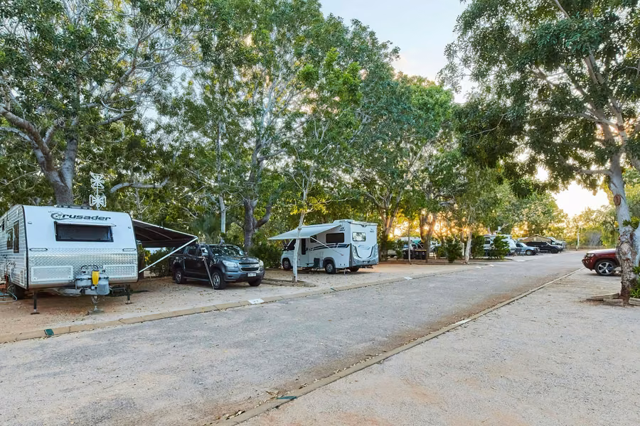 Caravans and a motorhome on shaded powered sites under tall trees at RAC Cable Beach Holiday Park