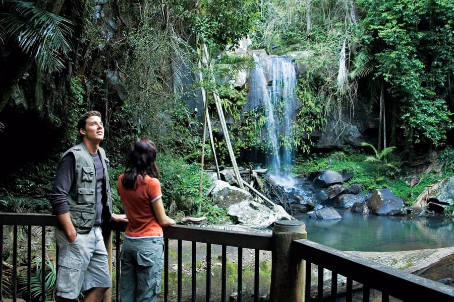 Couple on a timber viewing deck looking up at Curtis Falls tumbling into a rainforest pool on Tamborine Mountain