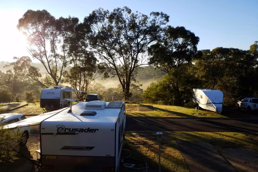 Caravans on grassy sites among gum trees at sunrise, with morning mist over the bushland at Discovery Parks Lane Cove