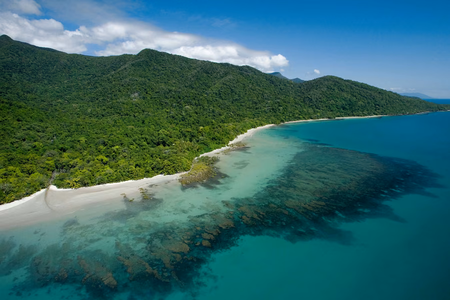 Aerial view of Cape Tribulation, where rainforest-covered mountains meet a white sand beach and fringing reef