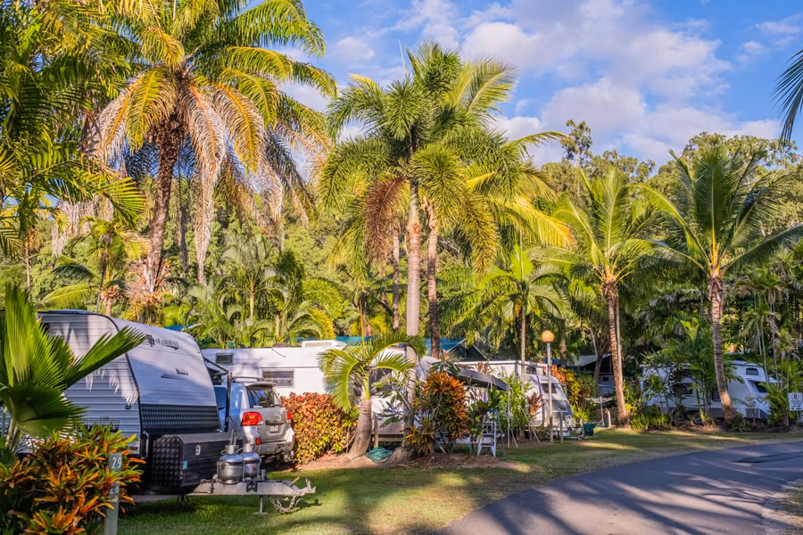 Caravans parked on grassy sites under tall palm trees beside a sealed road at BIG4 Port Douglas Glengarry Holiday Park