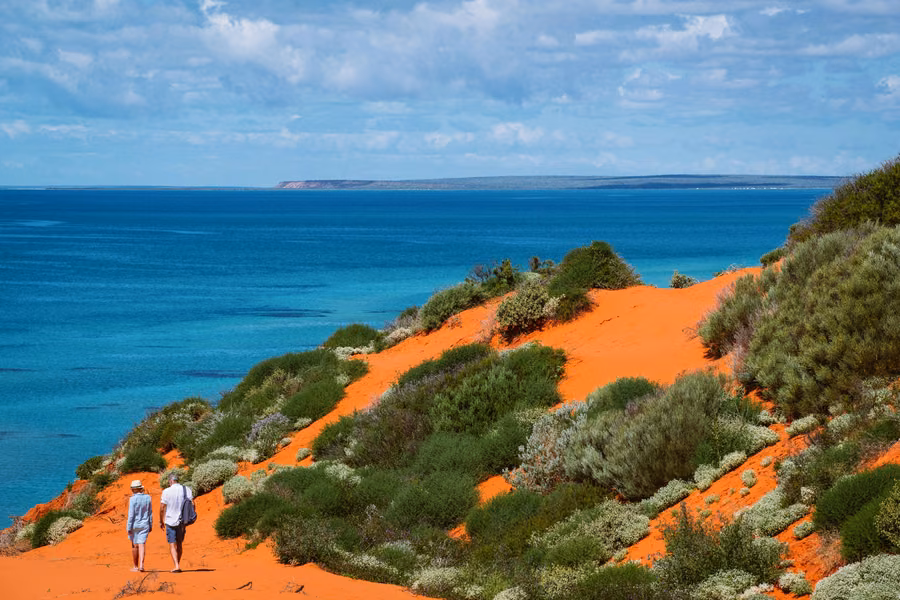 Red sand dune and green coastal scrub dropping to the turquoise water of Shark Bay at Francois Peron National Park