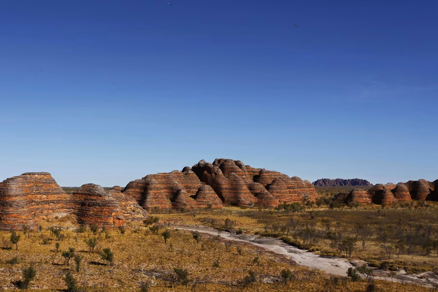 Striped orange and black beehive domes of the Bungle Bungle Range rising above dry grassland under a deep blue sky in Purnululu National Park