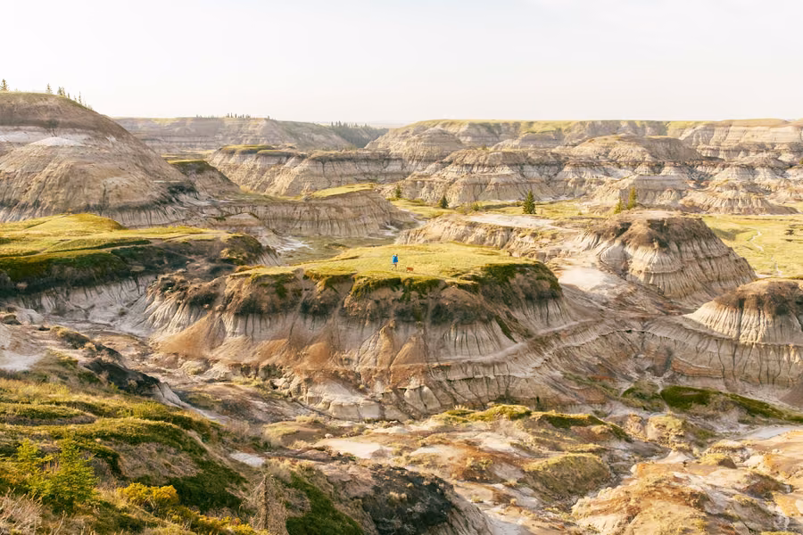 Layered badlands canyon with grassy ledges and eroded slopes, a hiker and dog small in the distance, in the Canadian Badlands