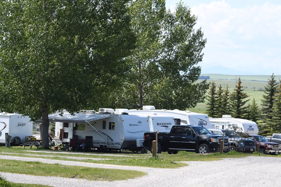 Travel trailers and pickups parked under tall poplars on gravel sites at Calaway RV Park, with open prairie behind