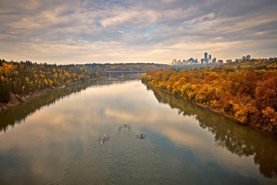 Rowers on the North Saskatchewan River between autumn-coloured riverbanks, with the downtown Edmonton skyline in the distance
