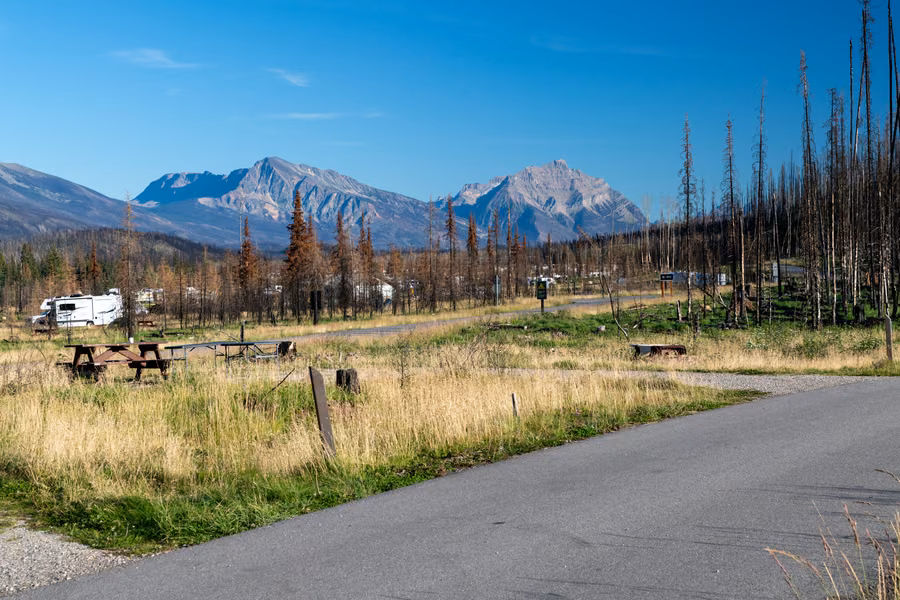 Campsites with picnic tables and a truck camper among burnt and regrowing forest at Whistlers Campground, with mountains behind