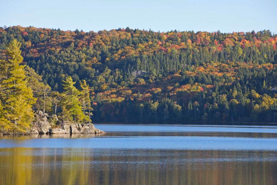 Autumn maples and pines on the hills around a calm lake in Algonquin Provincial Park