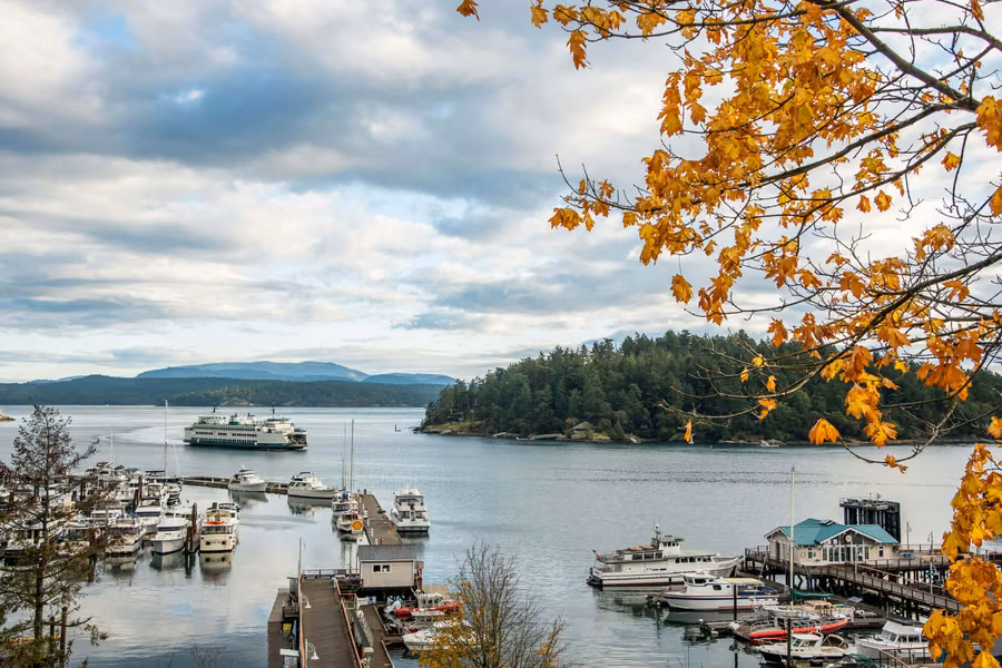 Washington State ferry approaching Friday Harbor past the marina and forested islands, framed by autumn leaves