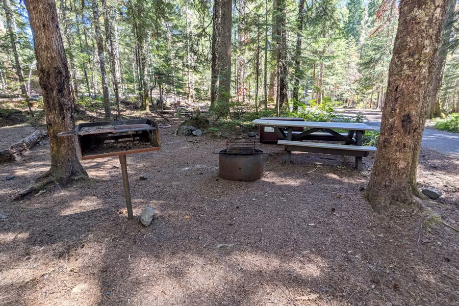 Forest campsite with a picnic table, fire ring and grill under tall conifers at Cougar Rock Campground