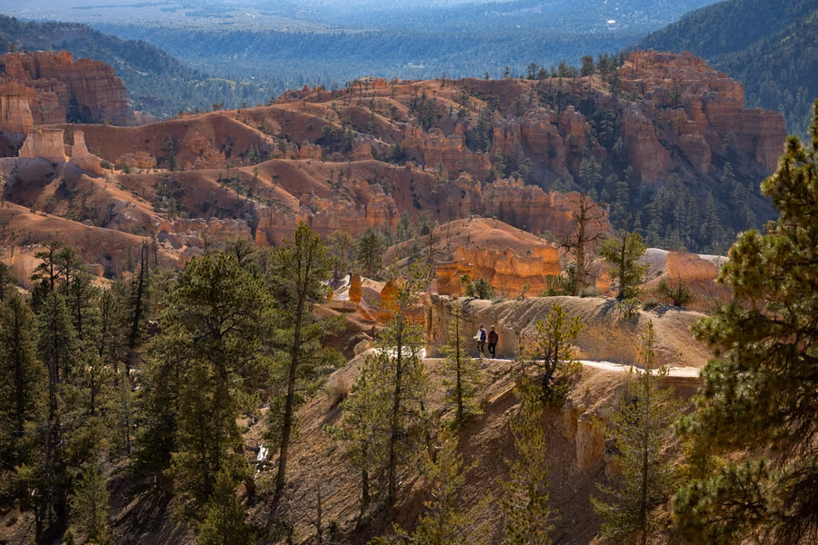 Orange hoodoos and pine forest spreading below the rim of Bryce Canyon, with two small hikers on a trail