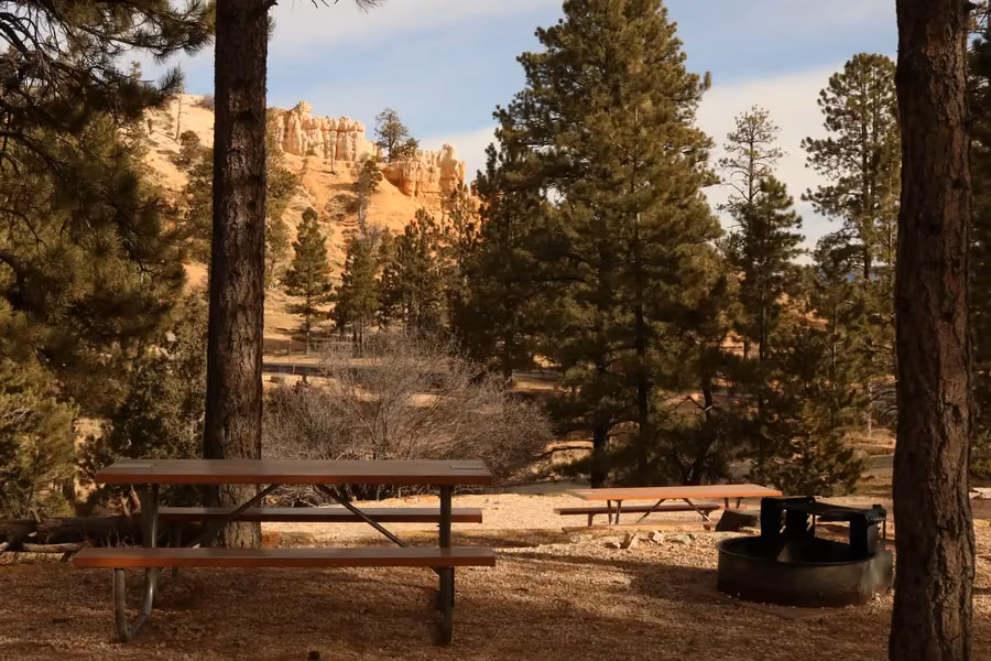 Picnic table and fire ring at a campsite under ponderosa pines, with orange hoodoos behind, at Bryce Canyon's North Campground