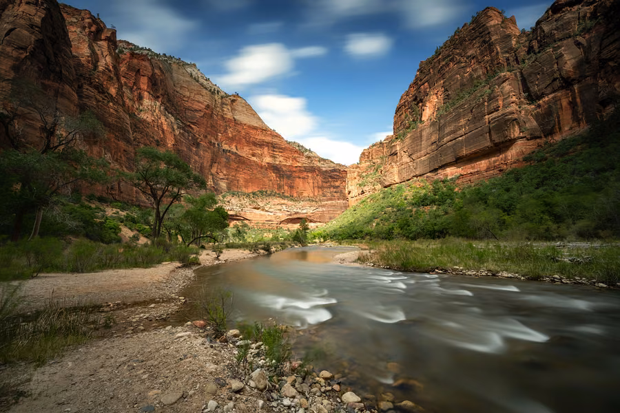 Virgin River flowing past cottonwoods between towering red sandstone cliffs in Zion National Park