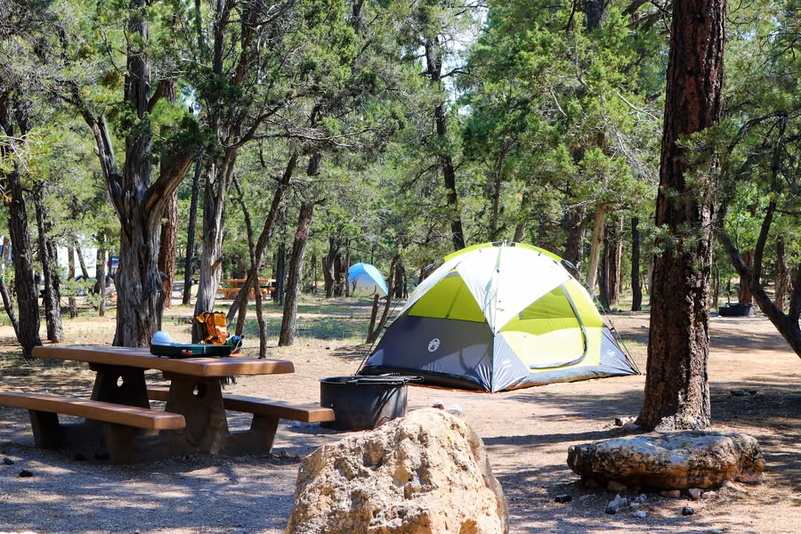 Tent and picnic table on a campsite shaded by tall pines at Mather Campground on the Grand Canyon's South Rim