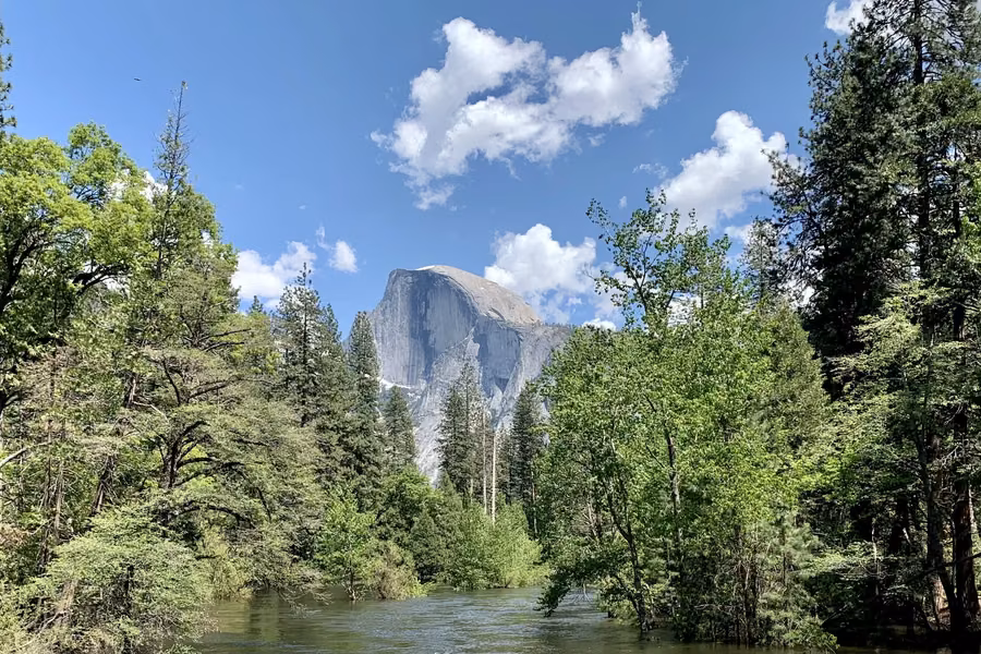 Half Dome rising above pine forest and the Merced River, seen from Sentinel Bridge in Yosemite Valley