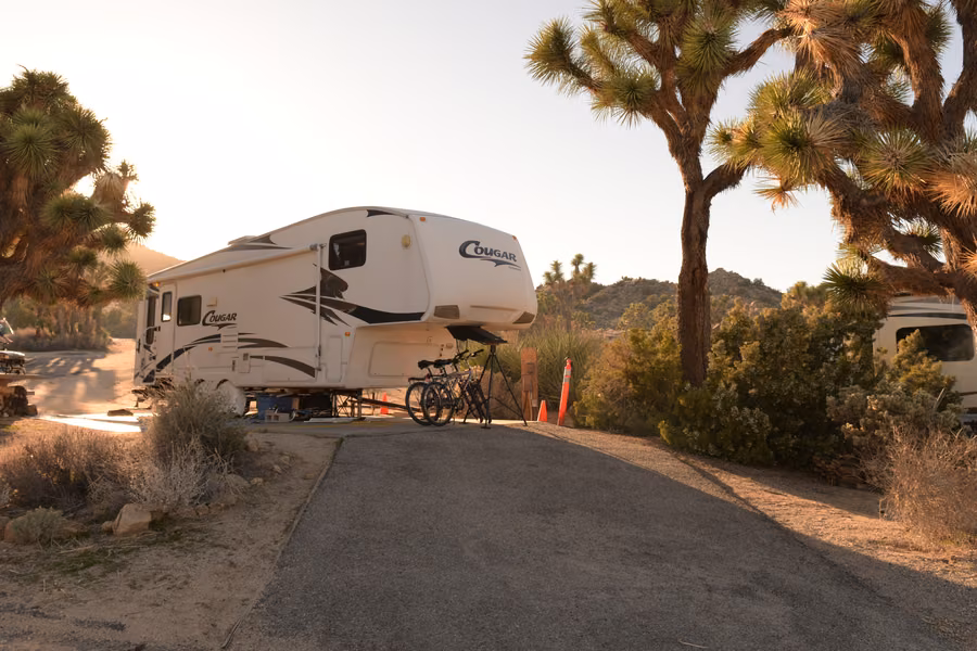 Fifth-wheel trailer on a paved site between Joshua trees at Black Rock Campground in Joshua Tree National Park