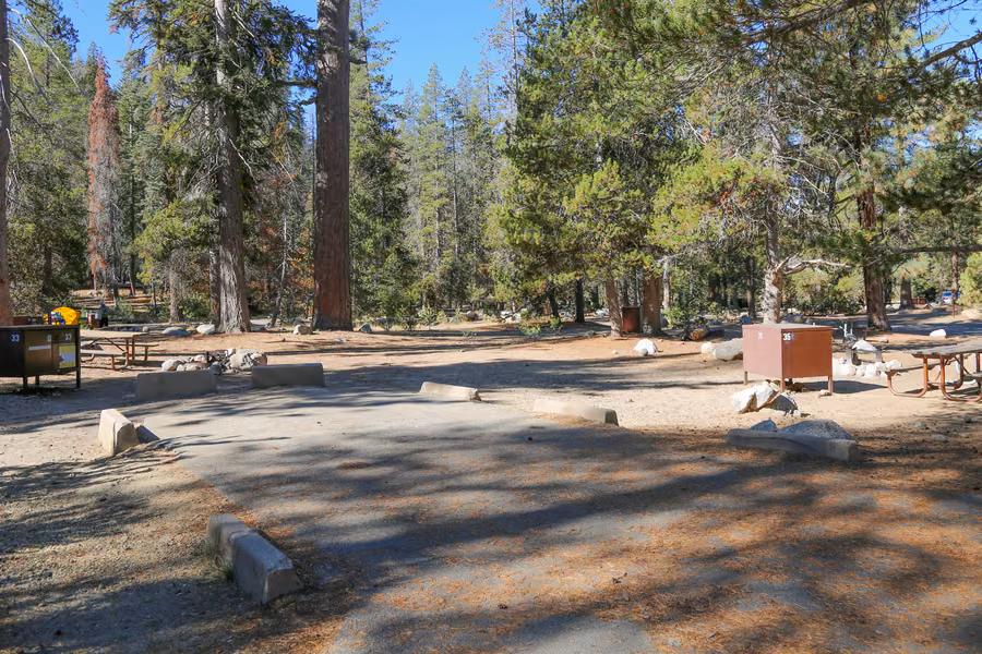Paved RV parking pad, picnic tables and brown bear-proof food lockers among tall pines at Lodgepole Campground