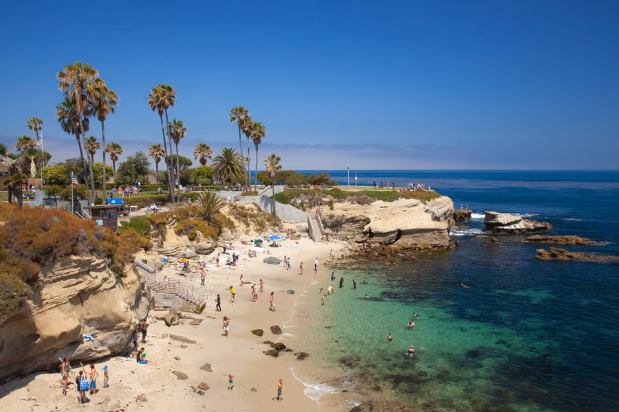 Swimmers and beachgoers at La Jolla Cove, with palm trees on the clifftop park and clear turquoise water