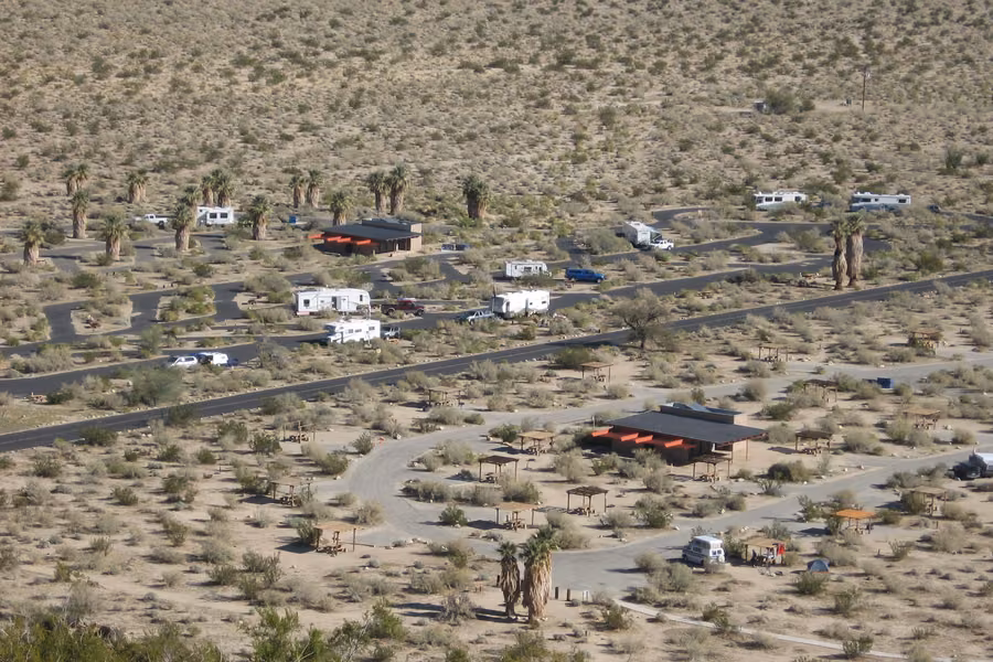 RVs parked among desert scrub and palms at Borrego Palm Canyon Campground in Anza-Borrego Desert State Park