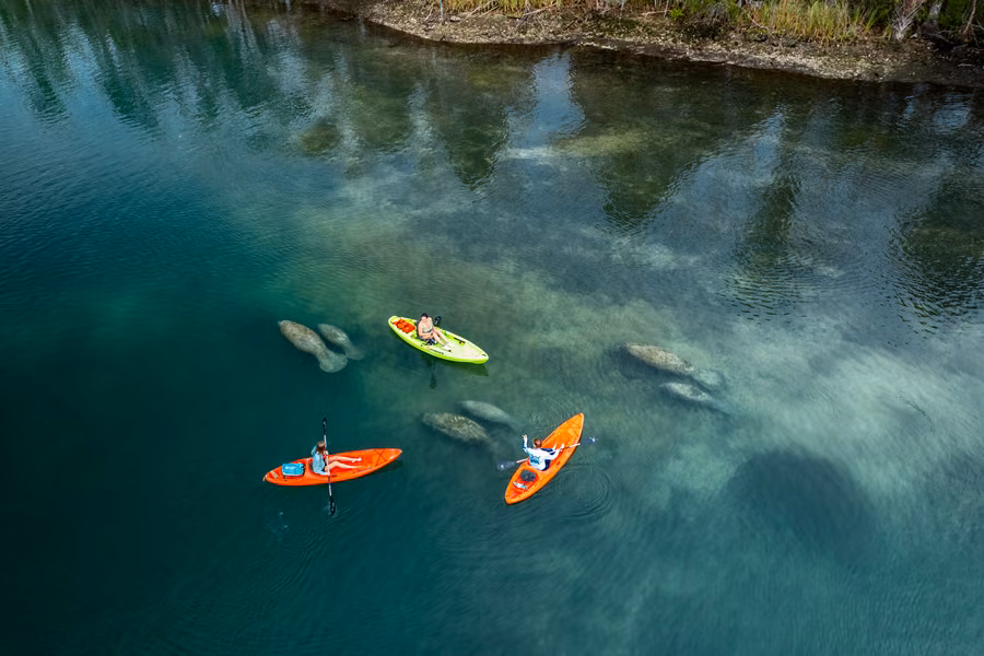 Three kayakers paddling above manatees in clear turquoise water at Three Sisters Springs, Crystal River