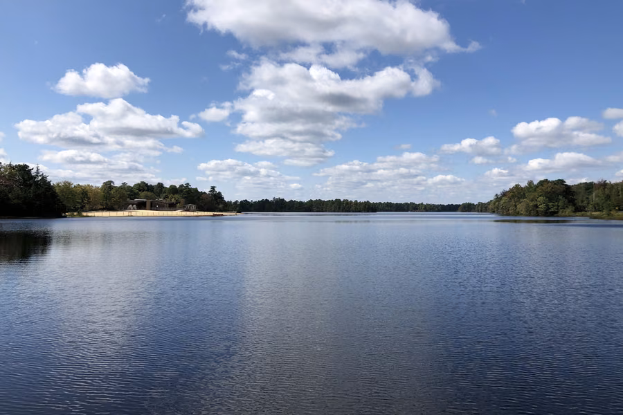 Atsion Lake in Wharton State Forest under a blue sky with puffy clouds, with a sandy beach on the far shore and pine woods