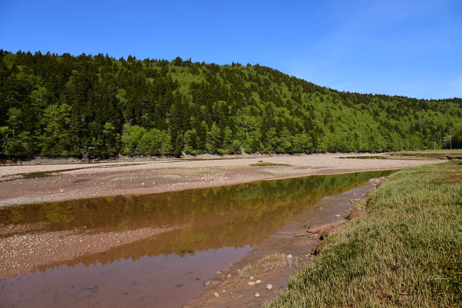 Red tidal flats and a shallow channel at low tide below a forested hill in Fundy National Park, New Brunswick
