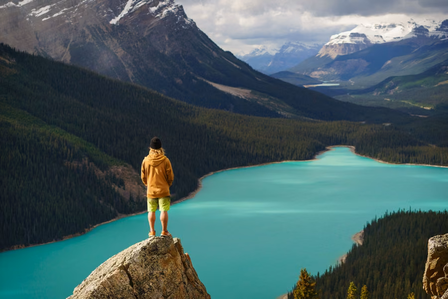 Hiker in a yellow hoodie standing on a rock above turquoise Peyto Lake, with forested valleys and snow-capped peaks beyond