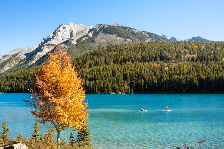 Golden aspen beside turquoise Two Jack Lake in Banff National Park, with two paddlers on the water below a forested ridge and rocky peak