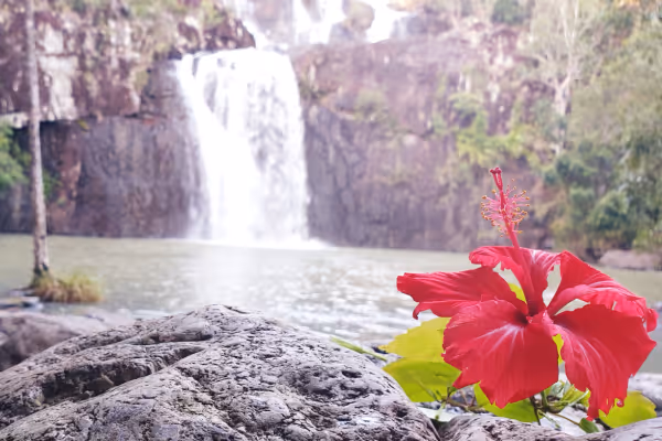 Conway National Park