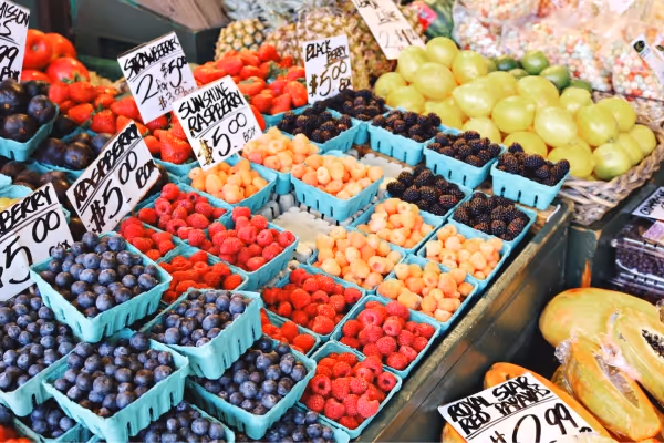 Launceston Harvest Market