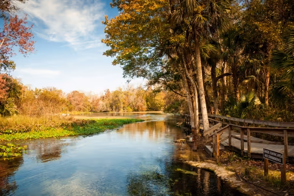 Wekiwa Springs State Park