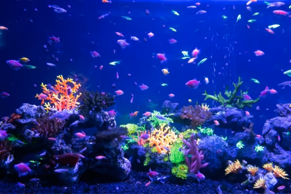 Dallas World Aquarium