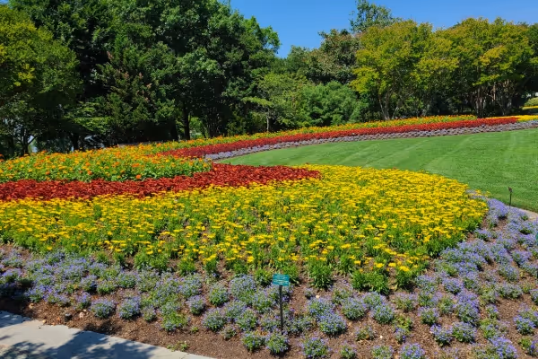 Dallas Arboretum and Botanical Garden