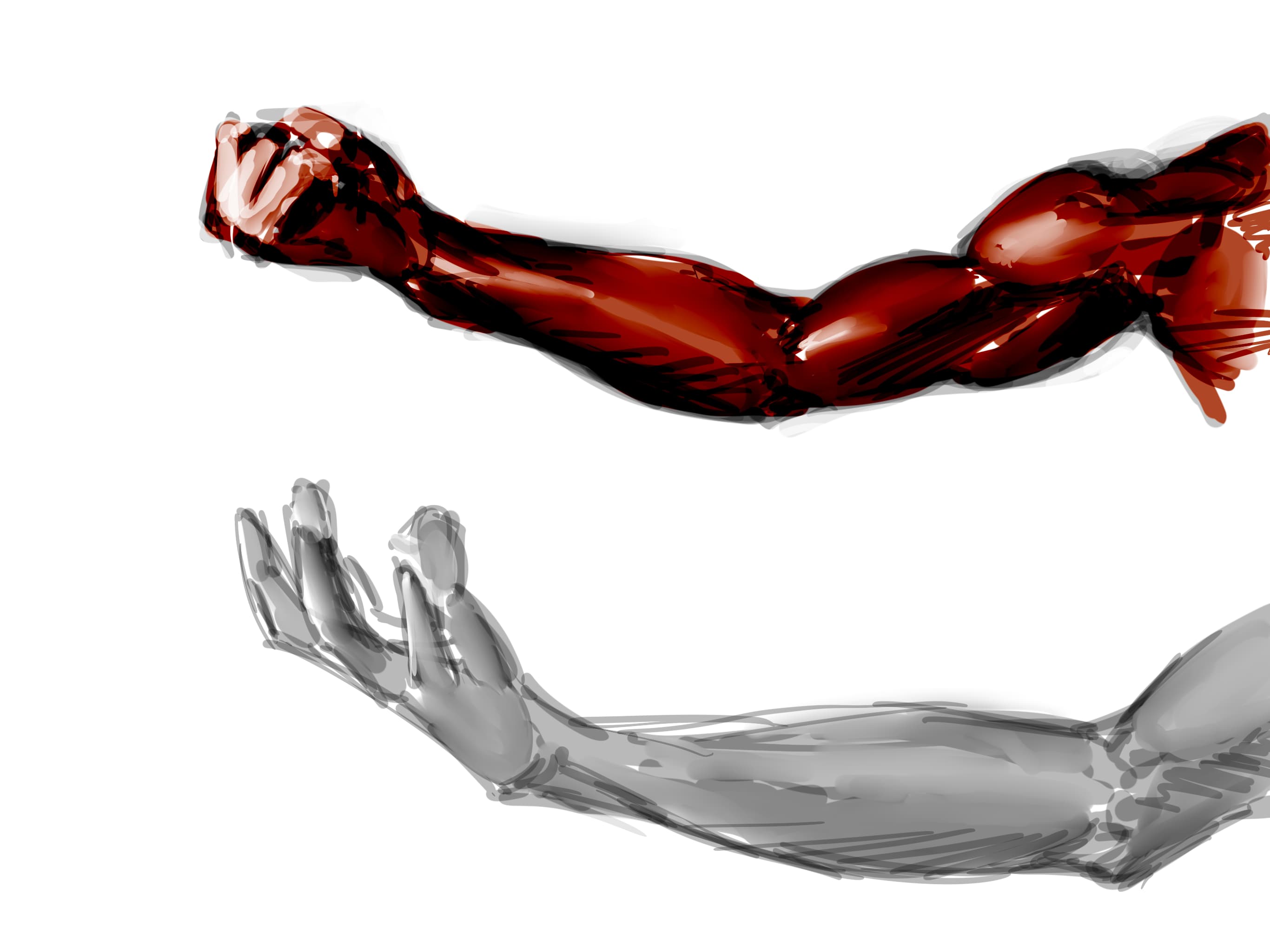 Procreate sketch of arms in various poses