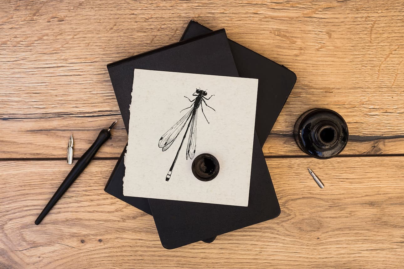 Dragonfly ink sketch mockup