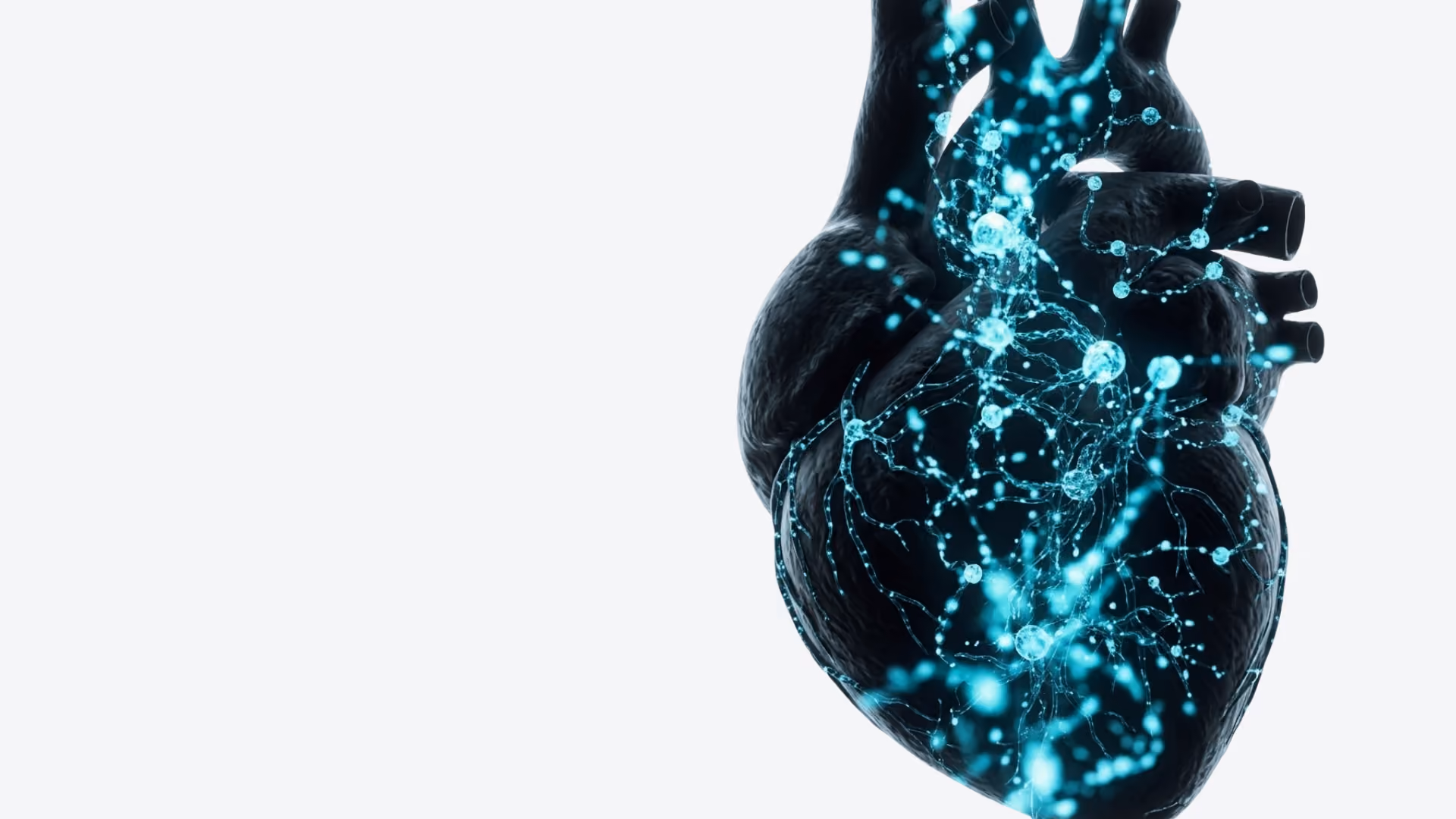 Stem cell therapy for sexual and reproductive wellness