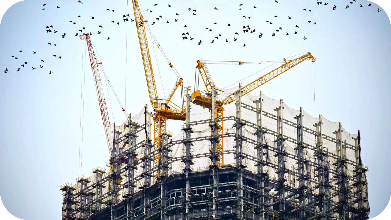 The top of a skyscraper under construction with three large yellow cranes, scaffolding, and a flock of birds flying overhead.
