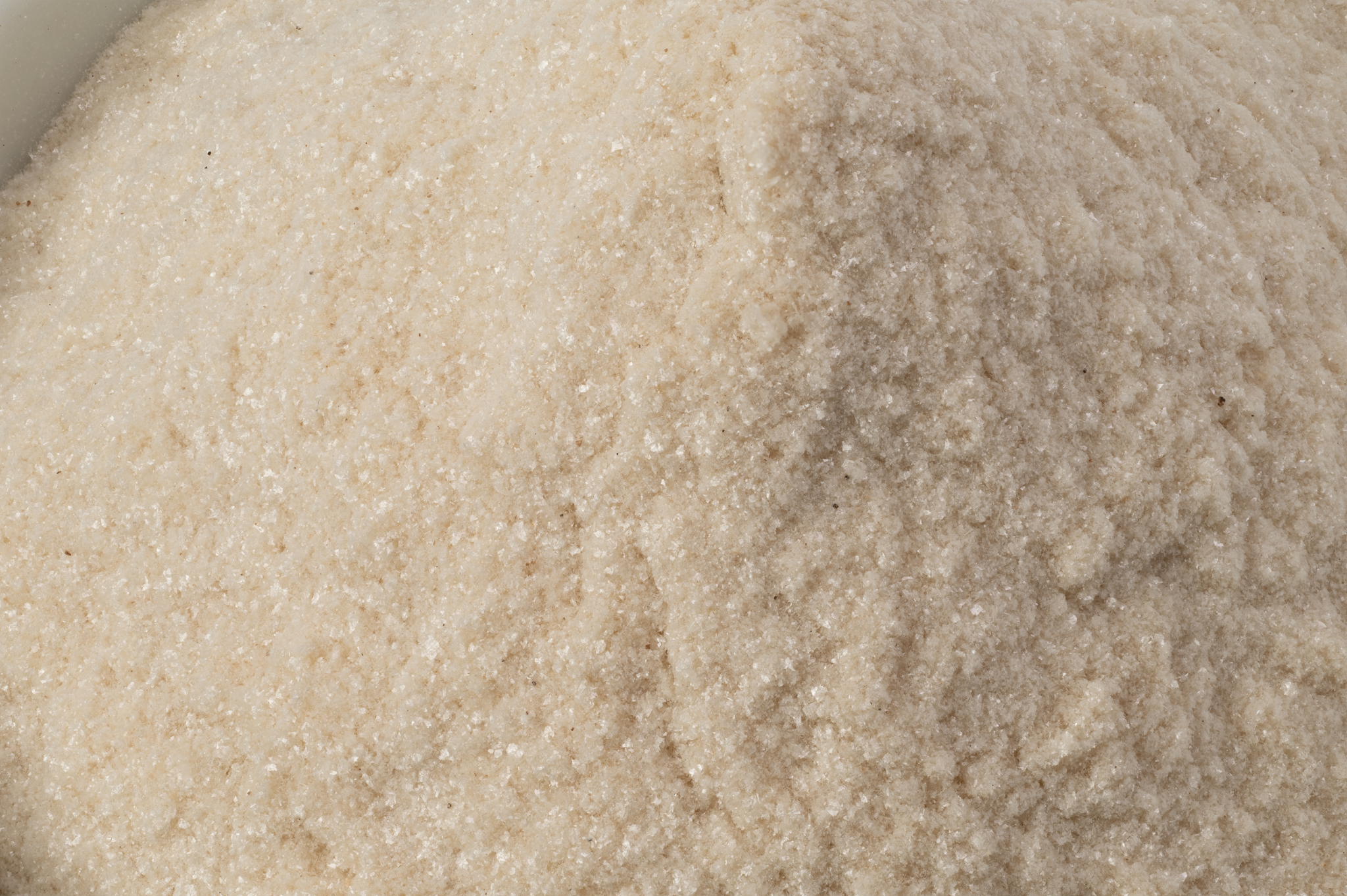 Close-up of ClonBio Foods ingredient powder