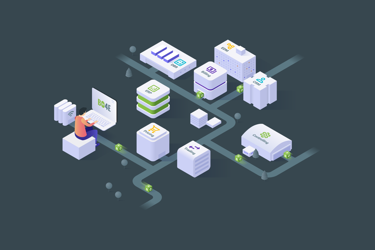 Illustration of a person working on a laptop connected to various business software modules like ERP, Pricing, Trading, Billing, CRM, EDM, DBR, and Controlling on a network path.