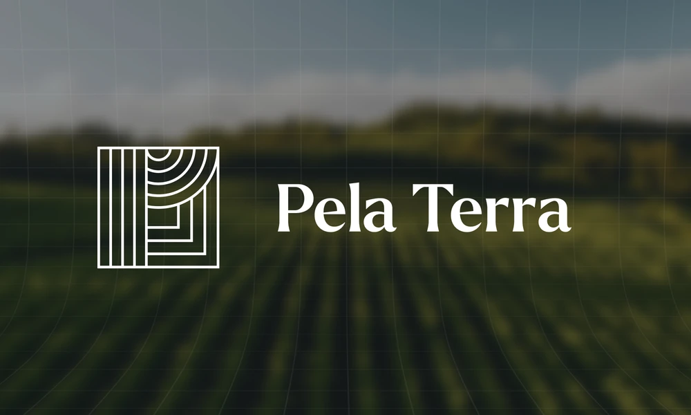 Third Portfolio image