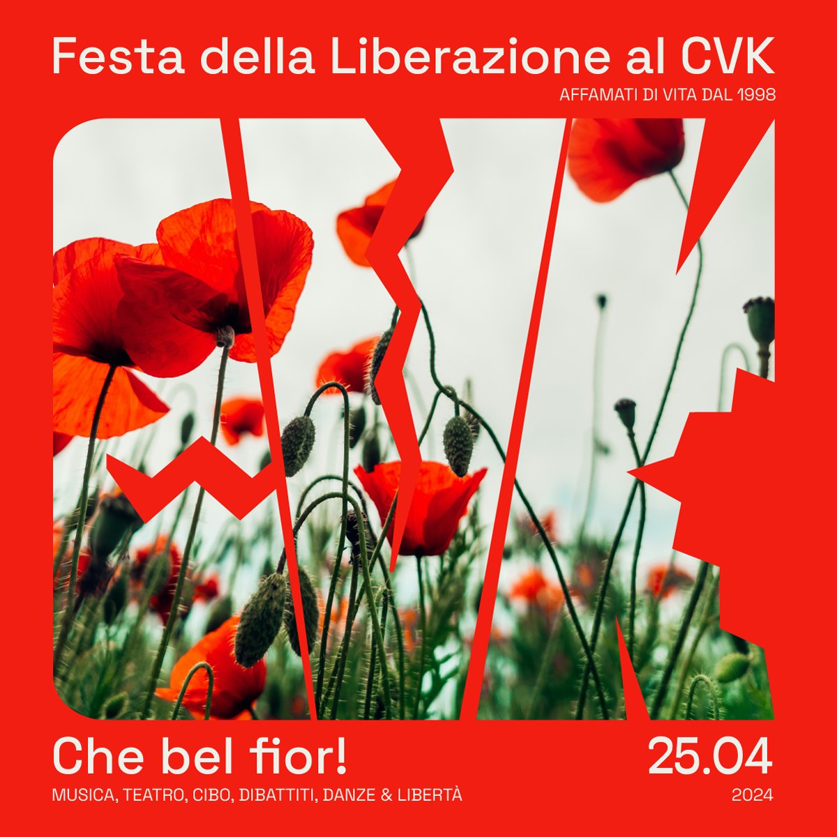 Festival della Liberazione