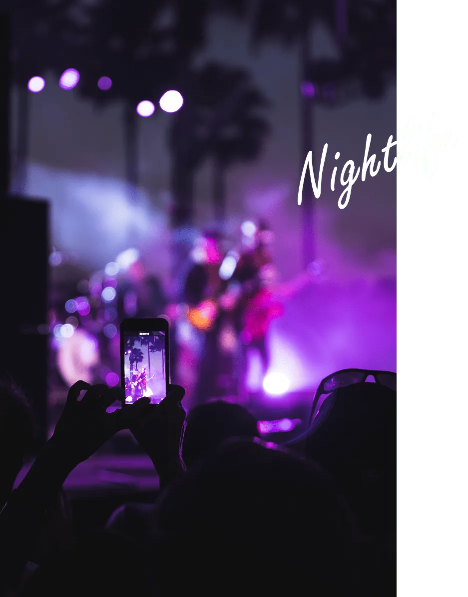 Audience silhouette holding a phone recording a live concert with purple stage lights and palm trees in the background.