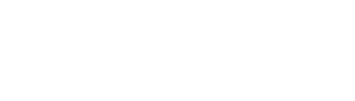 Vitanext Firmenlogo mit stilisiertem Symbol aus einem Kreis über einem V-förmigen Design links vom Text.