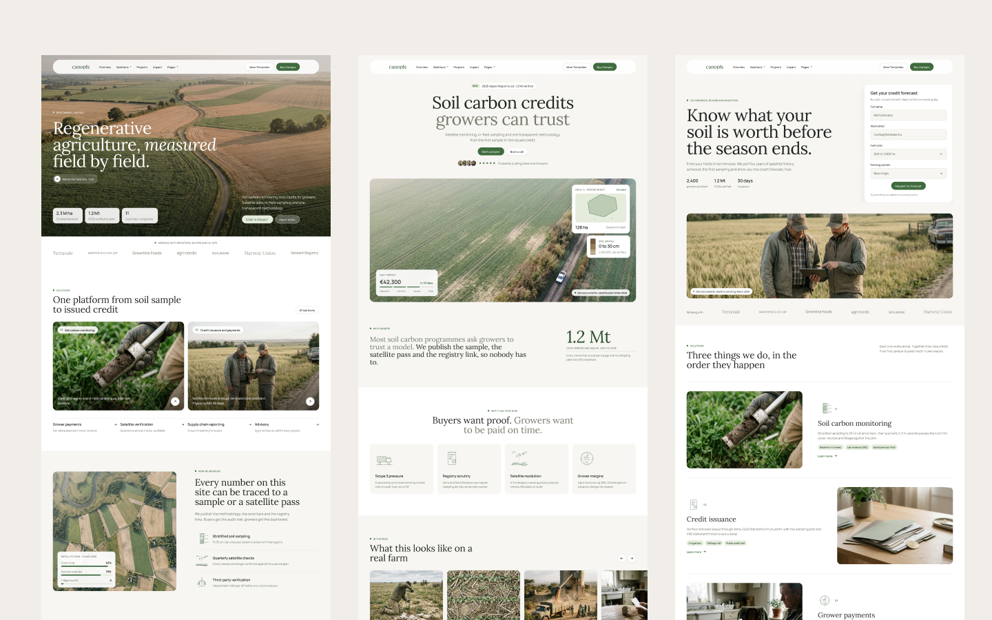 Three Canopis home page layouts for climate tech companies