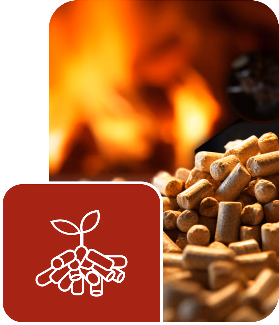 Holzpellets mit Icon Biomasse/Holzpellets