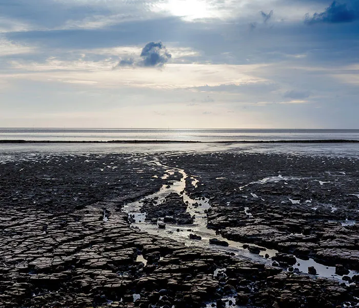 Weite Wattlandschaft bei Ebbe unter bewölktem Himmel in Schleswig-Holsetein.
