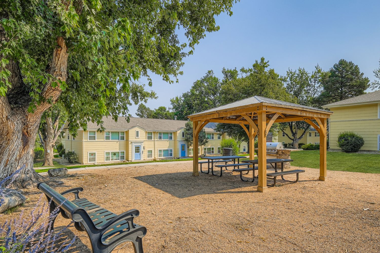 grill area