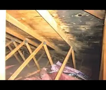 Moisissures sur la charpente d’une maison à Menton causées par une mauvaise ventilation - Toitflex