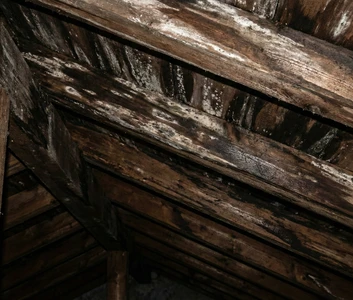 Plafond effondré avec traces d’infiltration d’eau atteignant l’isolation et l’installation électrique d’un logement à Carros