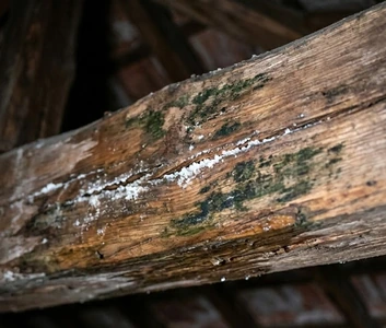 Toiture affaissée à Menton à cause d'une charpente fragilisée par l'air salin et l'humidité.